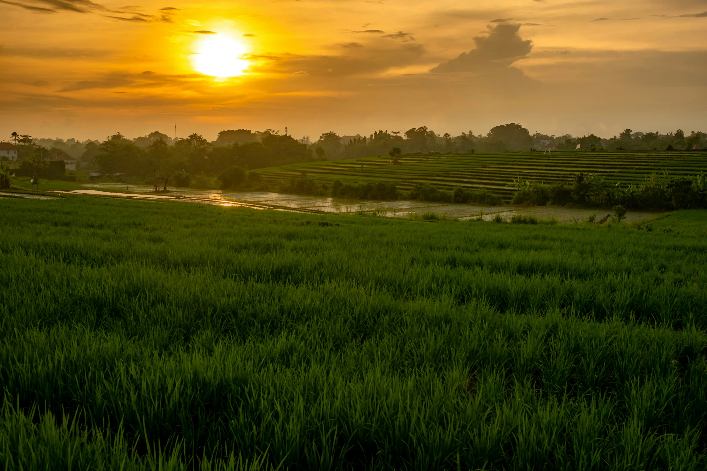 this is a po taken of a sunrise on a farm