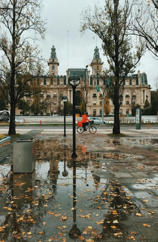 the view from an empty street with an umbrella and tree in the foreground