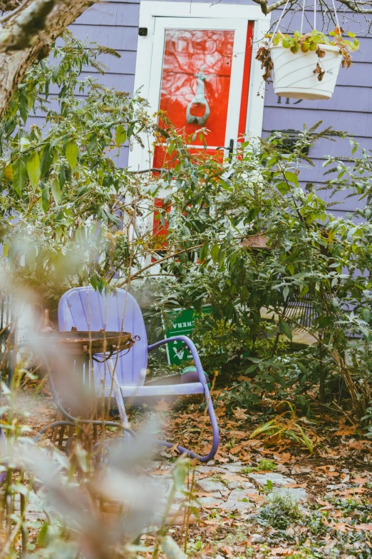 the back garden is full of vegetation and flowers