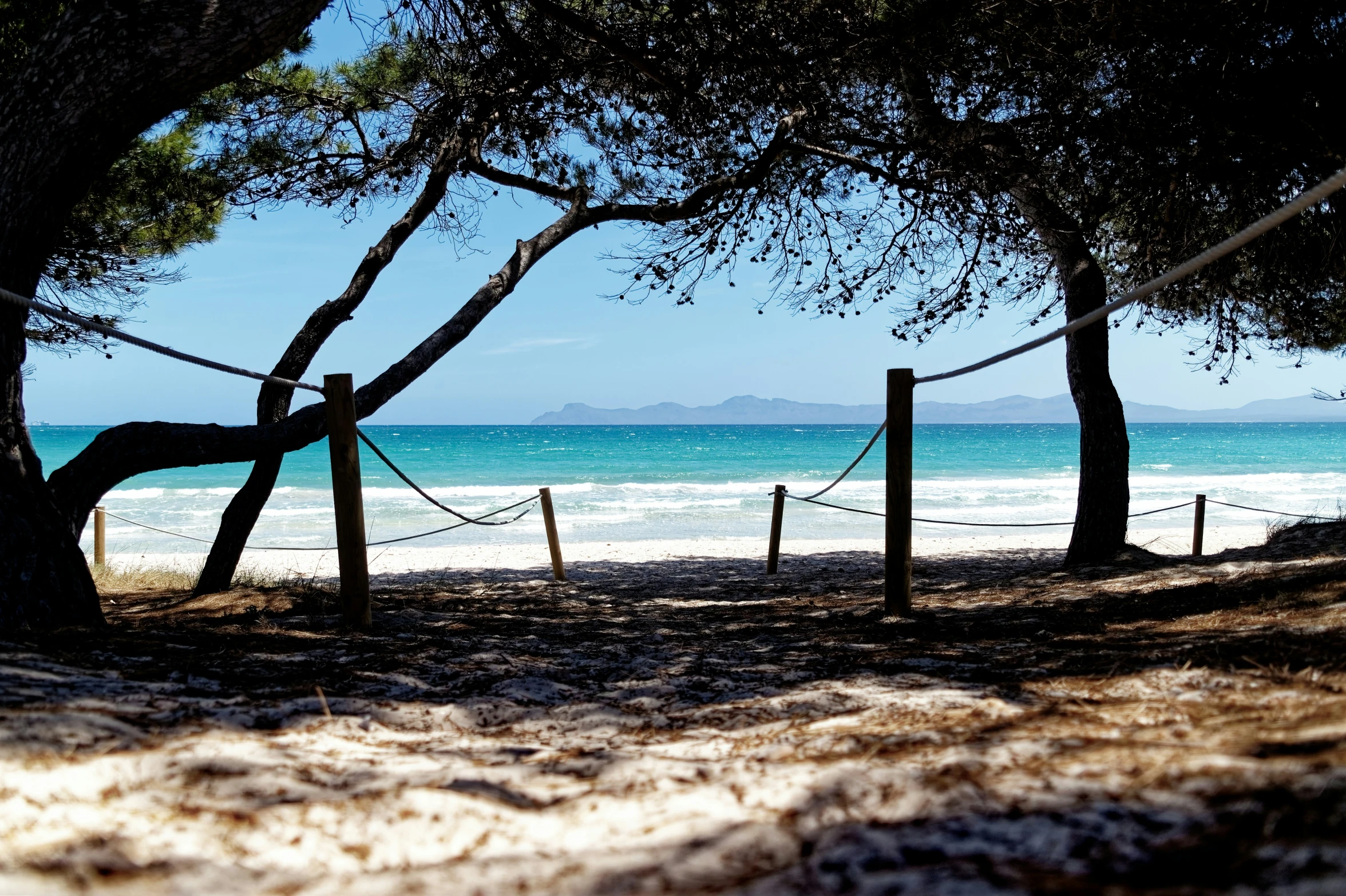 a beach scene with an ocean in the background