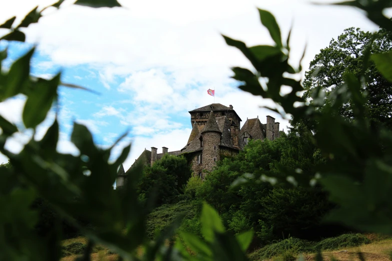 a castle with turrets seen through the top of trees