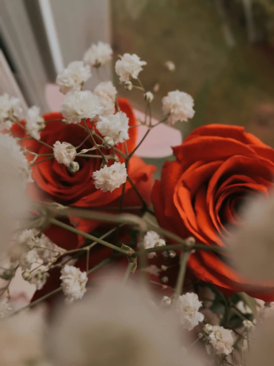 a bouquet of red roses on a window sill