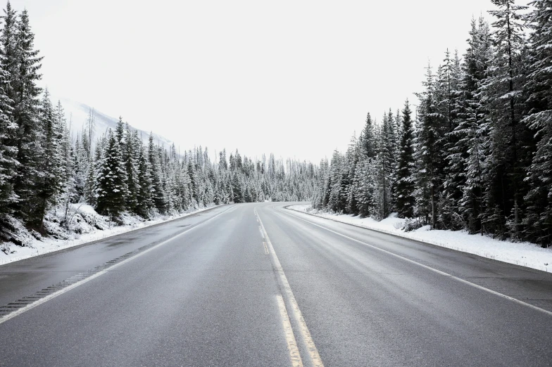 a road covered with snow and surrounded by tall trees