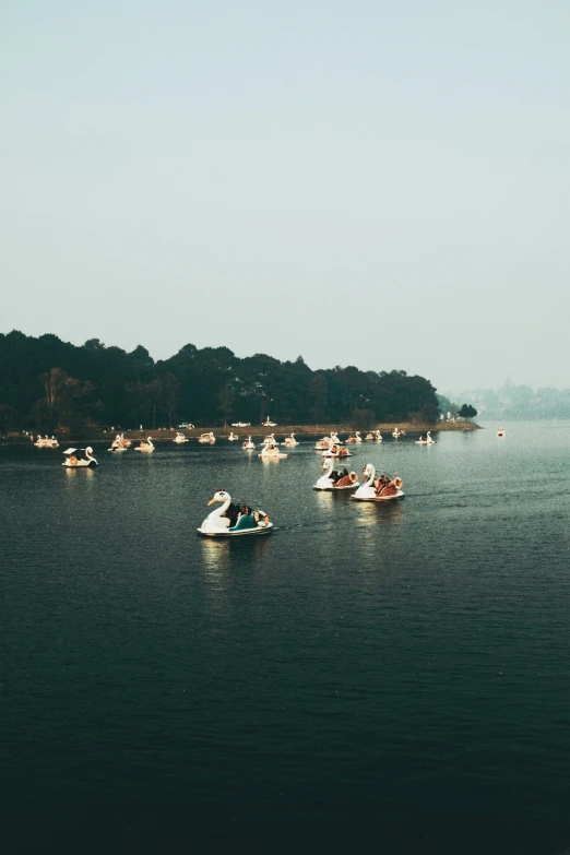 many small boats are out on the water