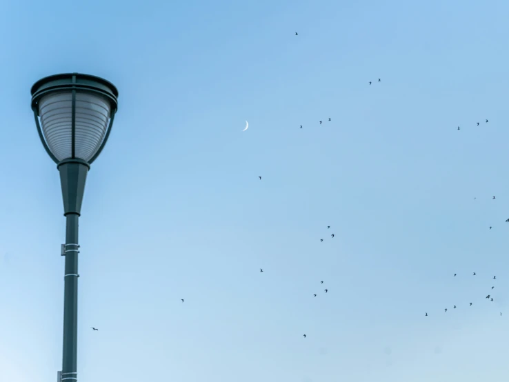 a light pole with birds on it in the sky