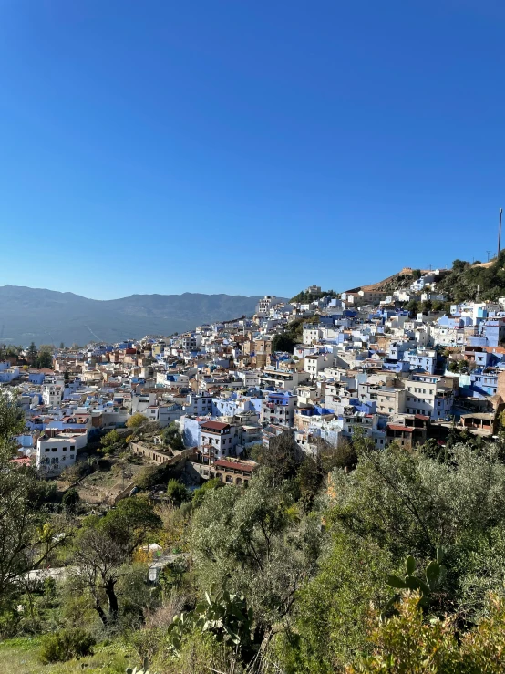 a bunch of buildings on a mountain in a city