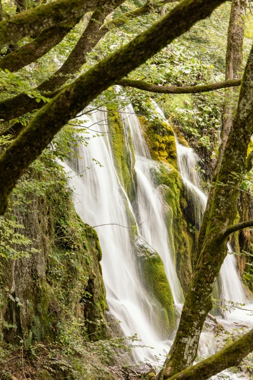 a person walking near water fall in wooded area