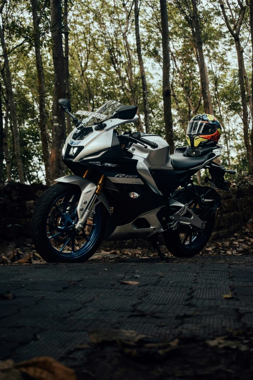 a motor bike sitting next to the forest