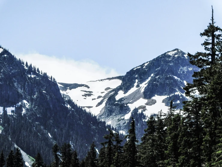 trees and mountains covered with snow with a cloud in the background