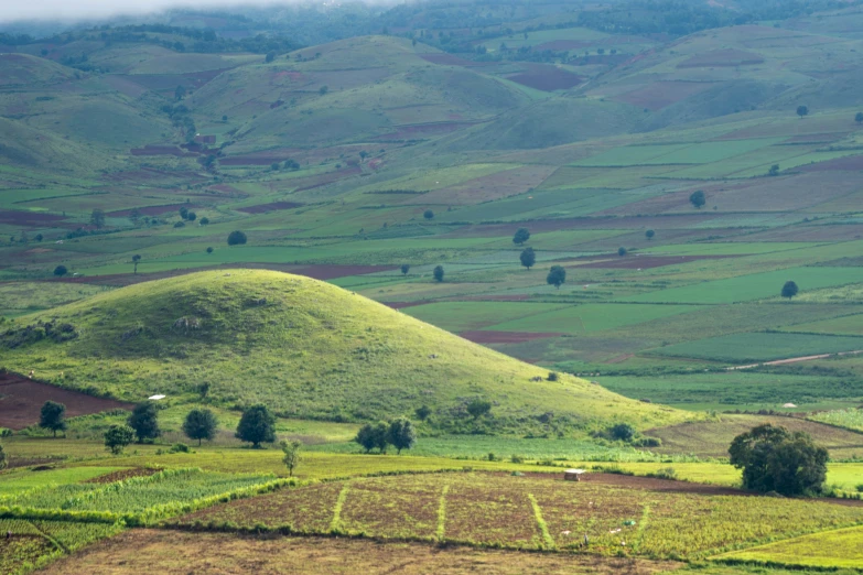 mountains and grassy fields with trees on them