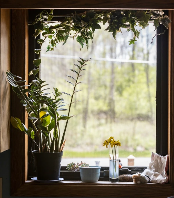 a window sill with some plants on it