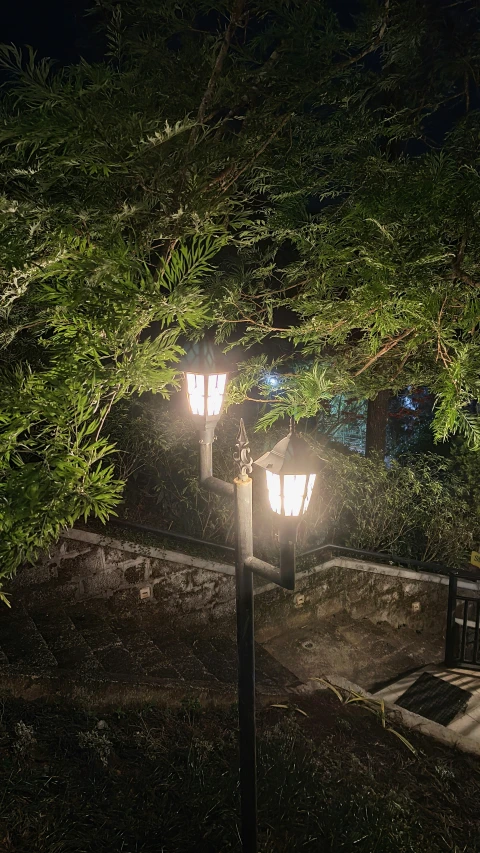 a tree is next to an empty park bench