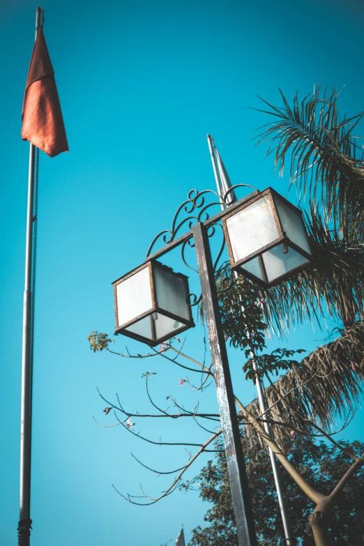 two street lamps in the middle of some tree limbs