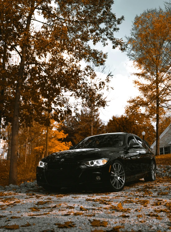 a car sits on the side of the road in front of trees with yellow foliage