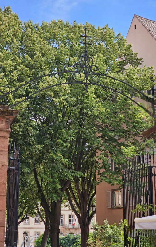 a very large green tree standing next to an old brick building