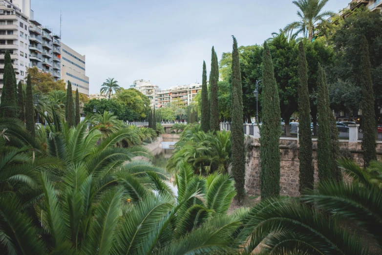 there is a canal in a park with trees and shrubs