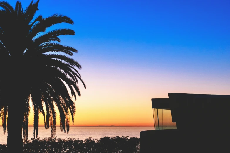 a palm tree on a beach in the sun sets