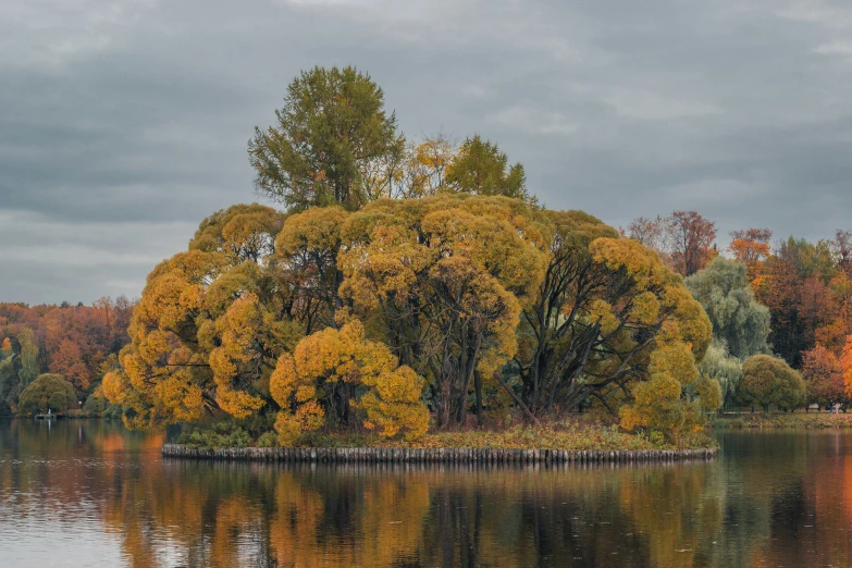 trees changing color across the lake from the land