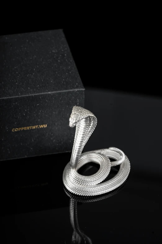 a snake ring is sitting on the table