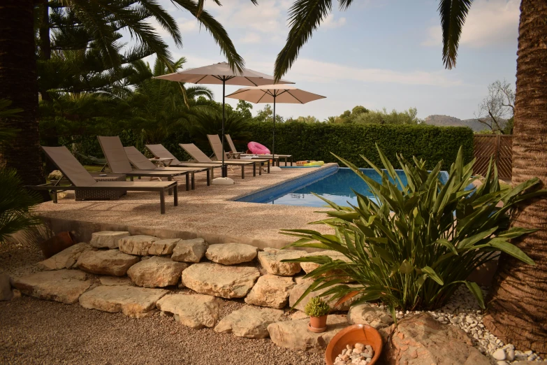 two lounge chairs by a swimming pool surrounded by palm trees