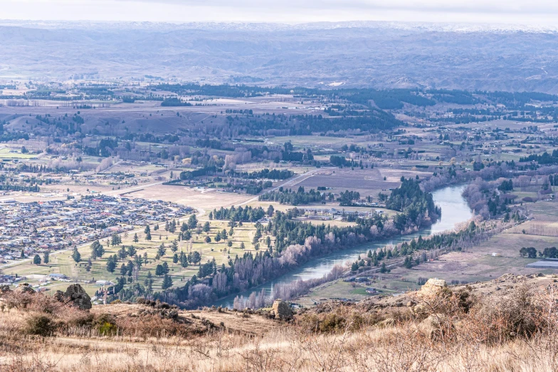 a sheep stands in the grass with a view of a river