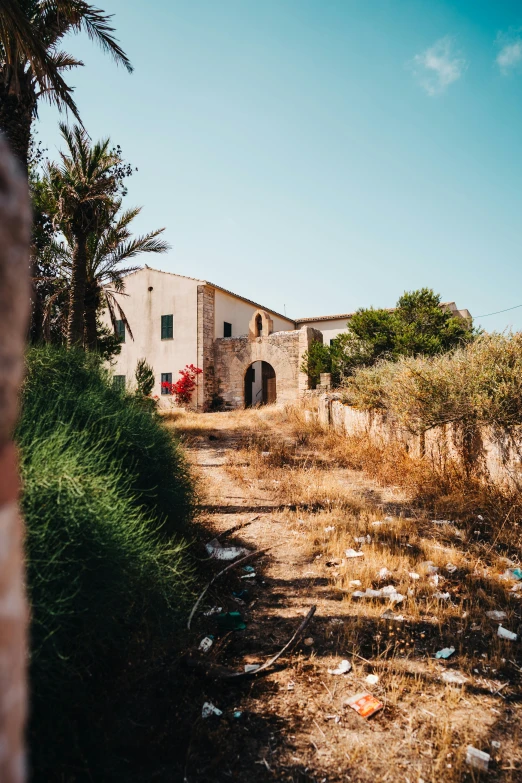 an abandoned home sits out of sight in the midst of vegetation