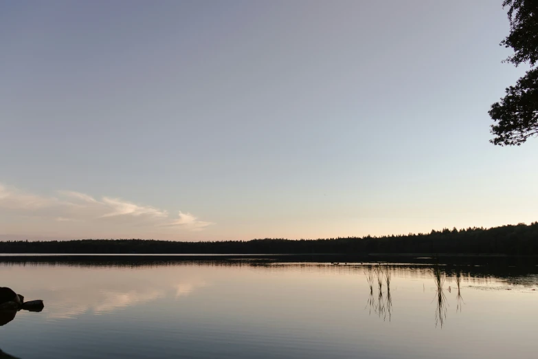 a dock that has a wooden pole in it