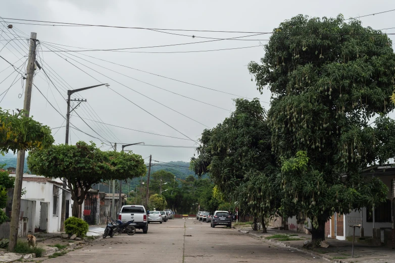 two rows of parked cars are on a street