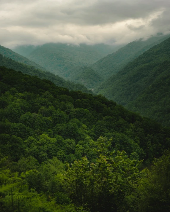 trees and mountains in the distance as seen from a viewpoint point