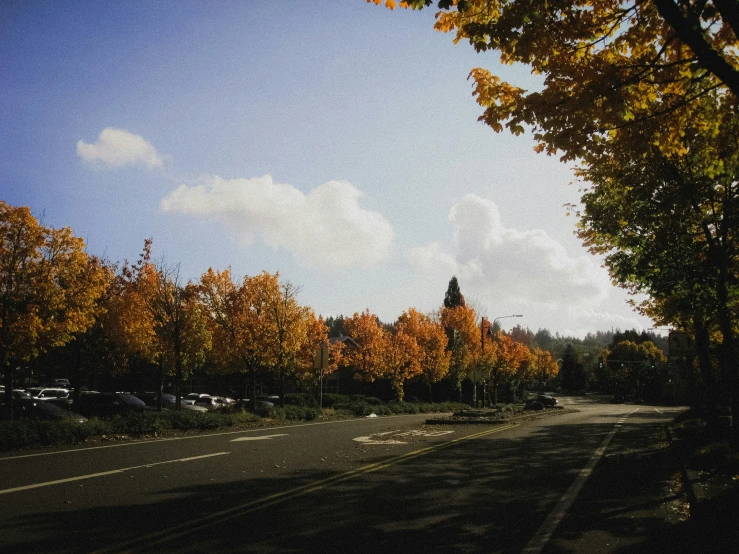 some red trees some yellow leaves and some gray cars