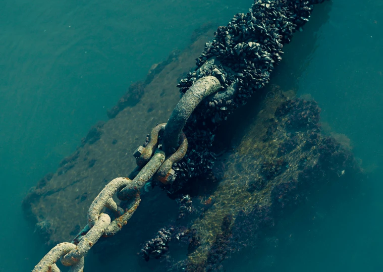 chain and buoy of boat in the water