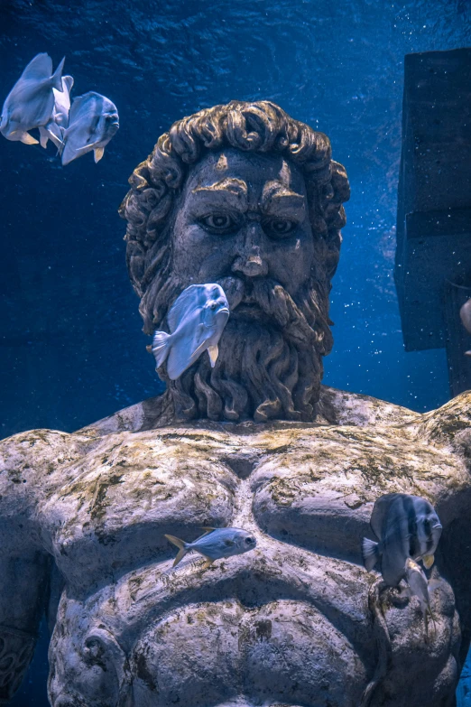 a stone busturine is underwater in a marine tank