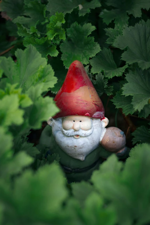 the gnome is in the bushes and leaves