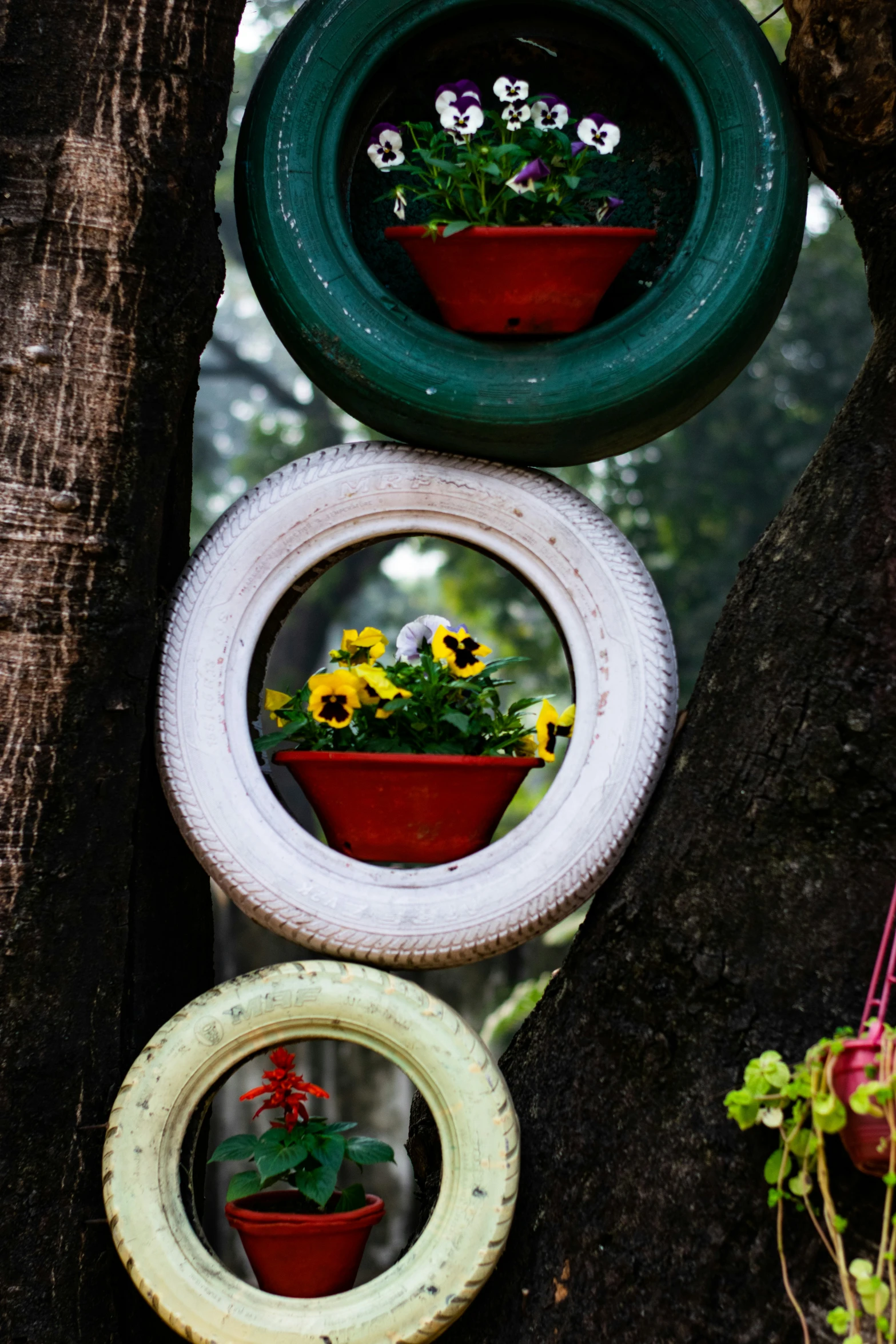 three different pots sitting on a tree next to each other