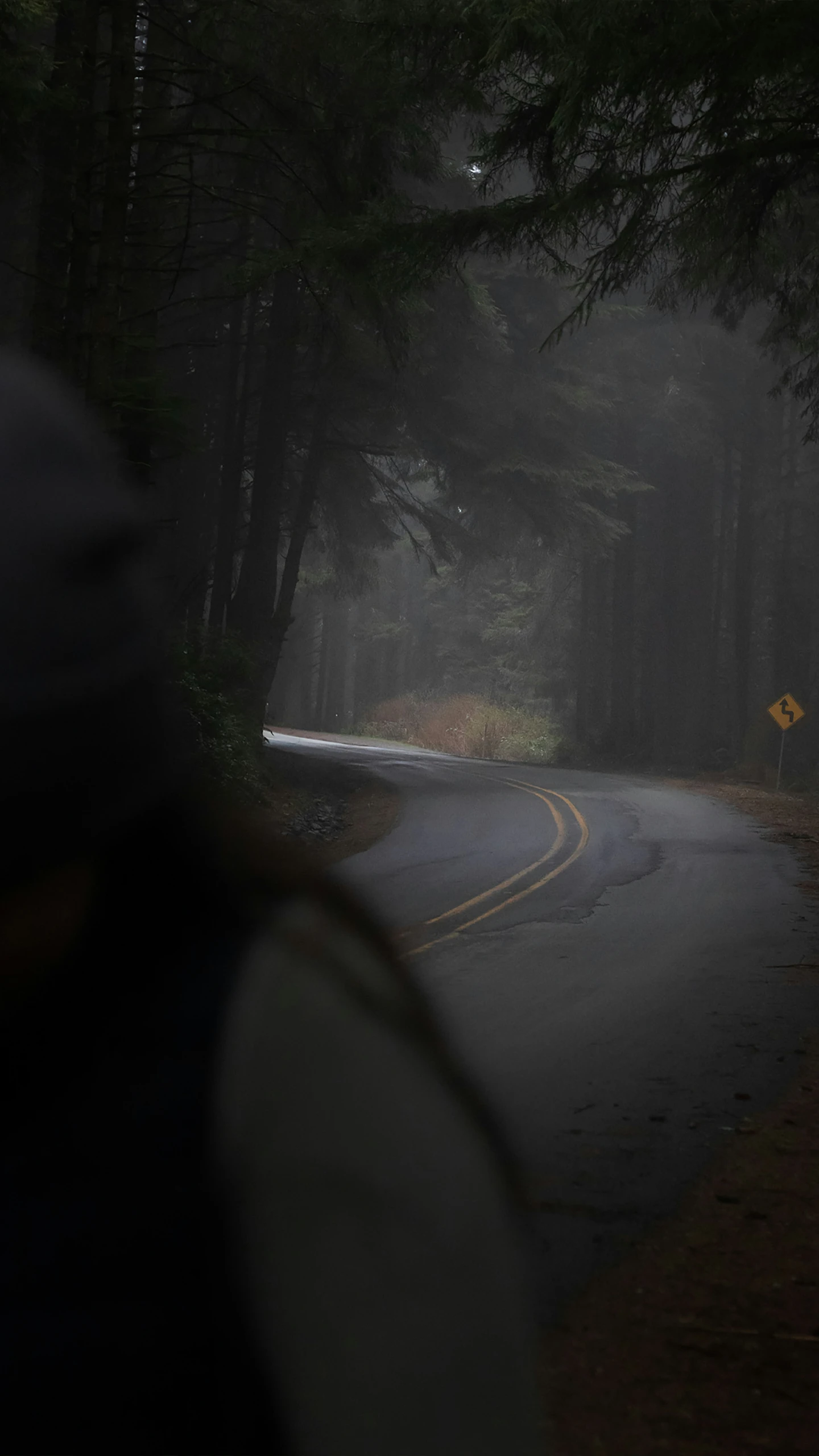 a person standing on the side of a road