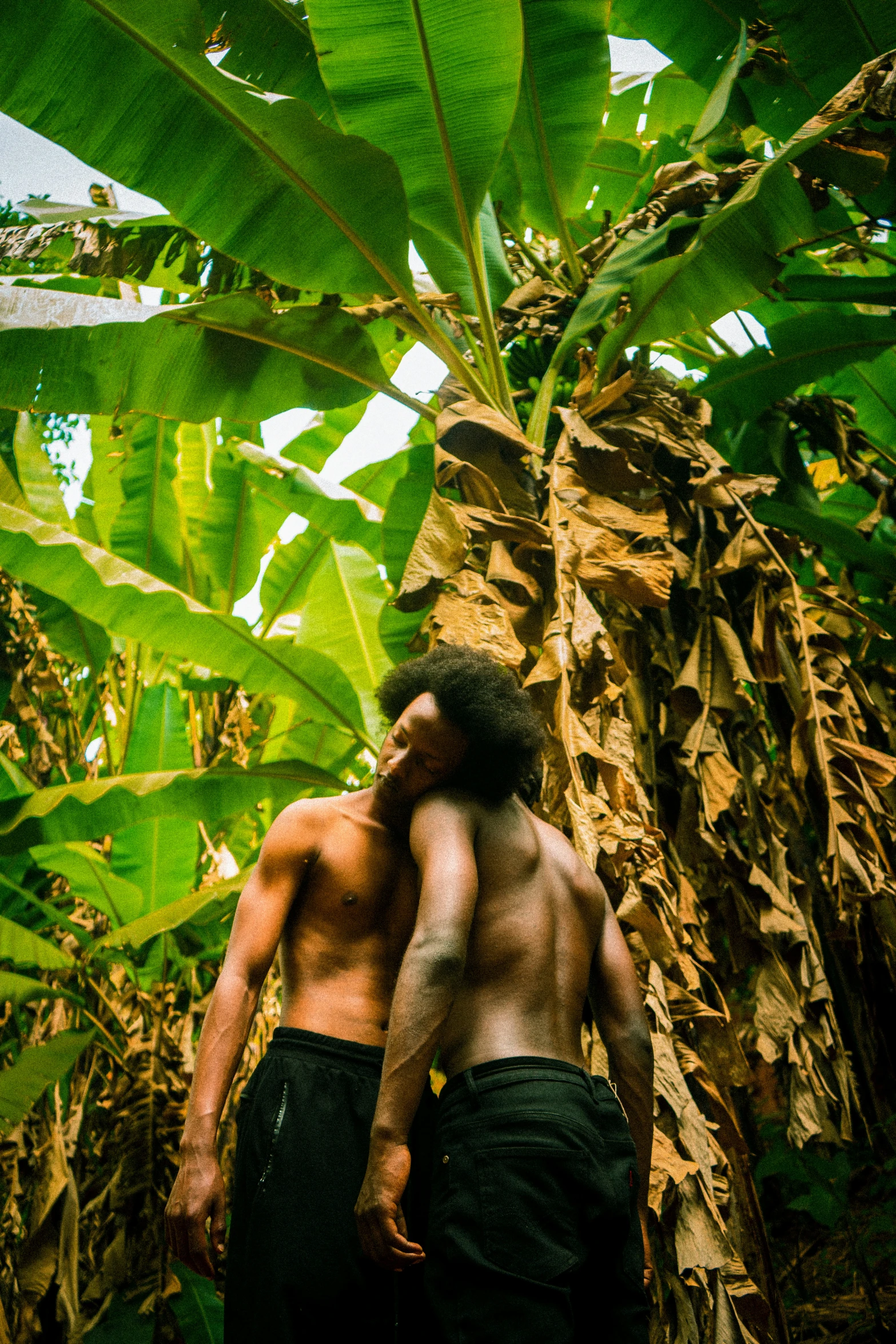 two men are outside hugging in the jungle