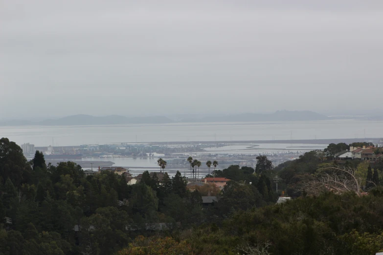 a small town and trees on a misty day