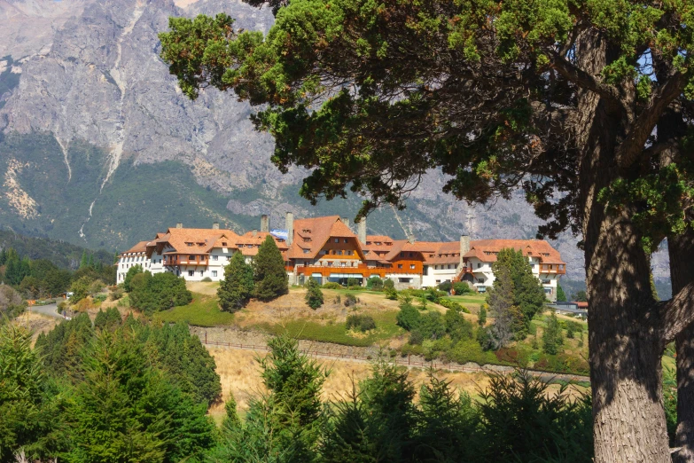 there is a tree and a building that is on the hillside