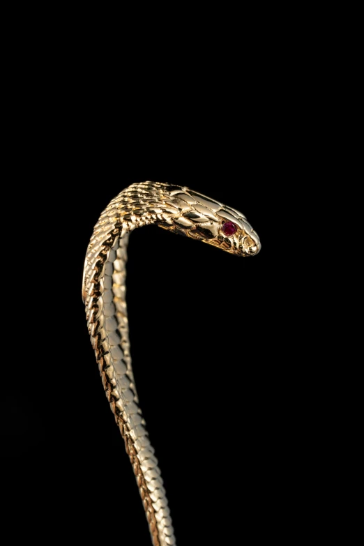 a snake's tail, with the tip of its head pointed