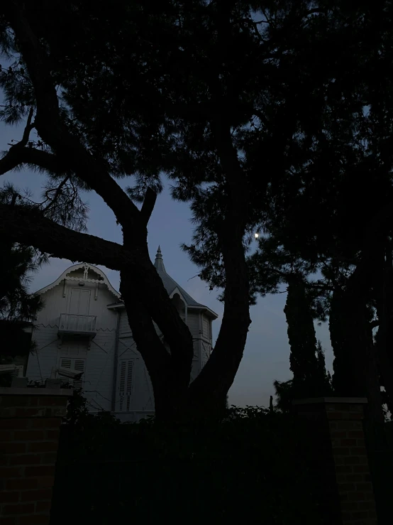 a large tree near a fence near a building