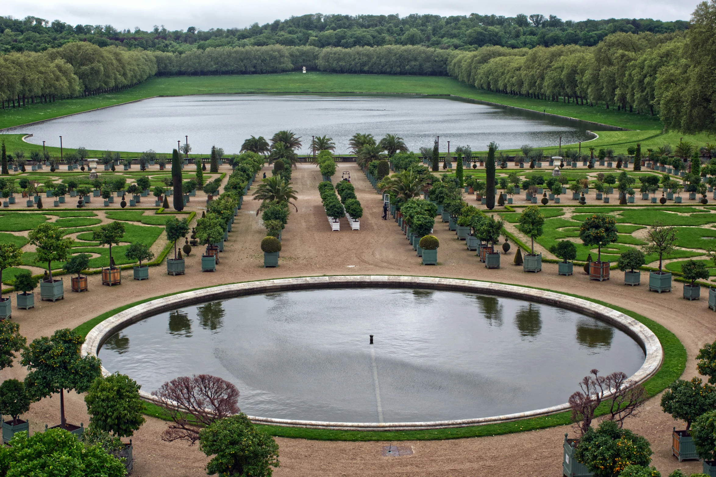 a view of a big lake with a lot of plants in the area