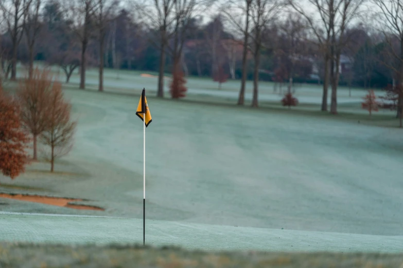 a green golf field with trees and yellow flags