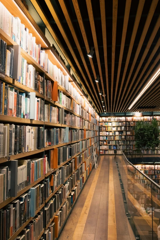 large rows of books are on the shelves in a liry