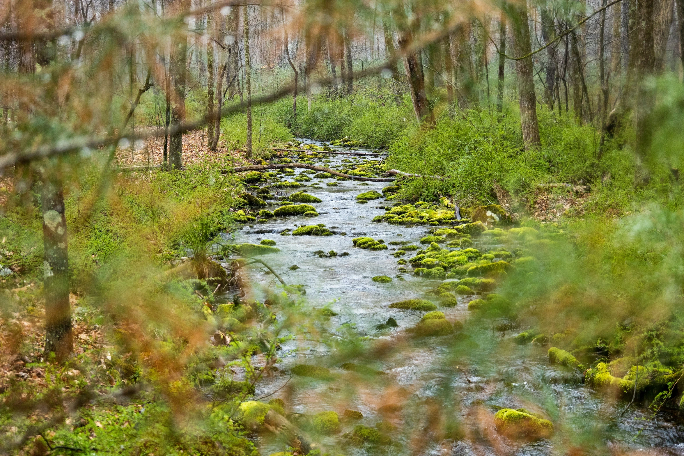 a stream is shown in a small creek