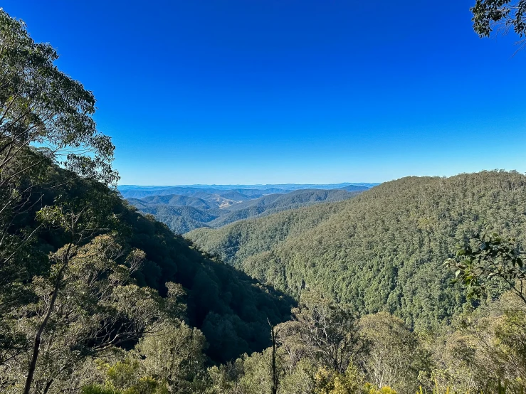 the view from top of the blue mountains on a sunny day