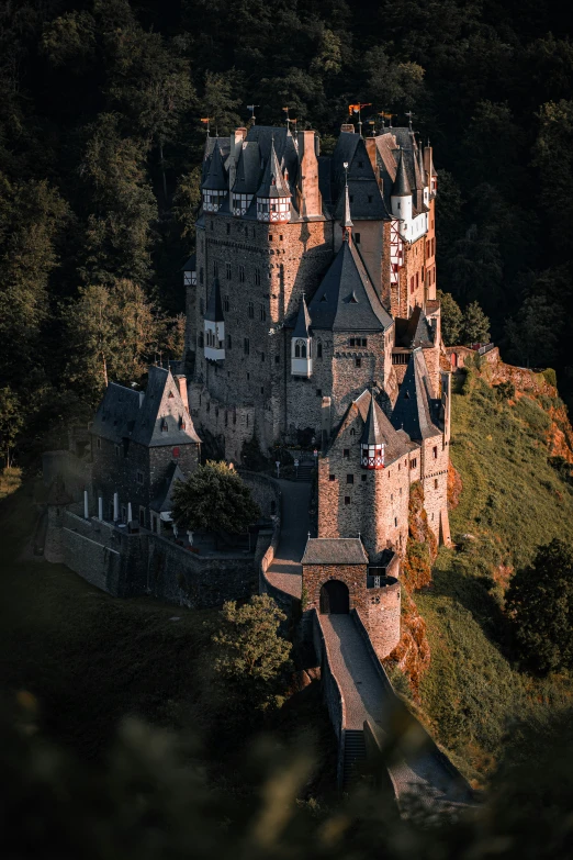 an aerial view of a castle in the country