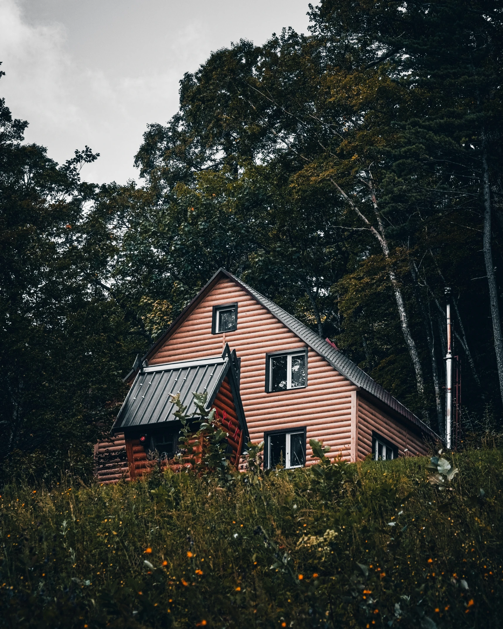 a small building near the woods with trees