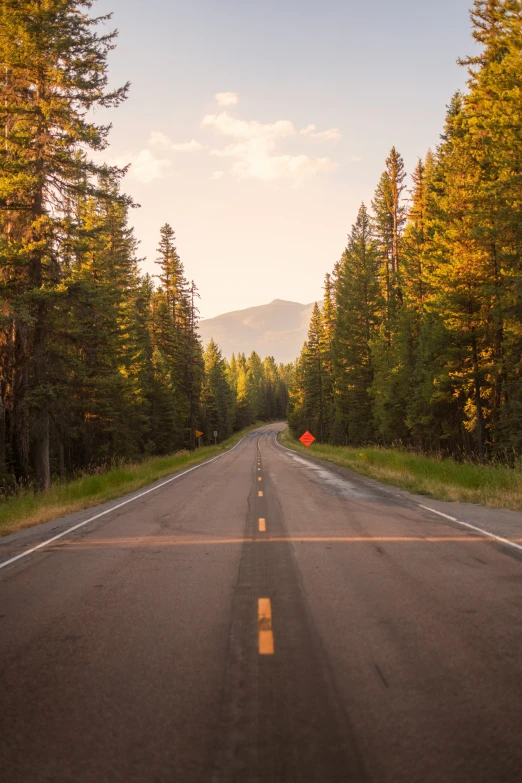 an empty road on a beautiful sunny day