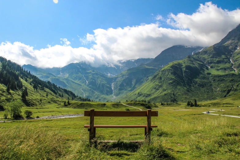 a bench in the middle of a green pasture