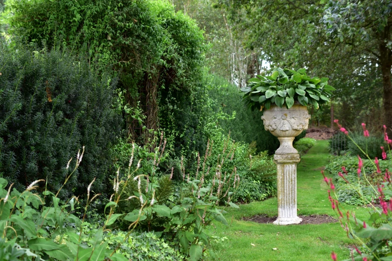 a large garden filled with lots of plants